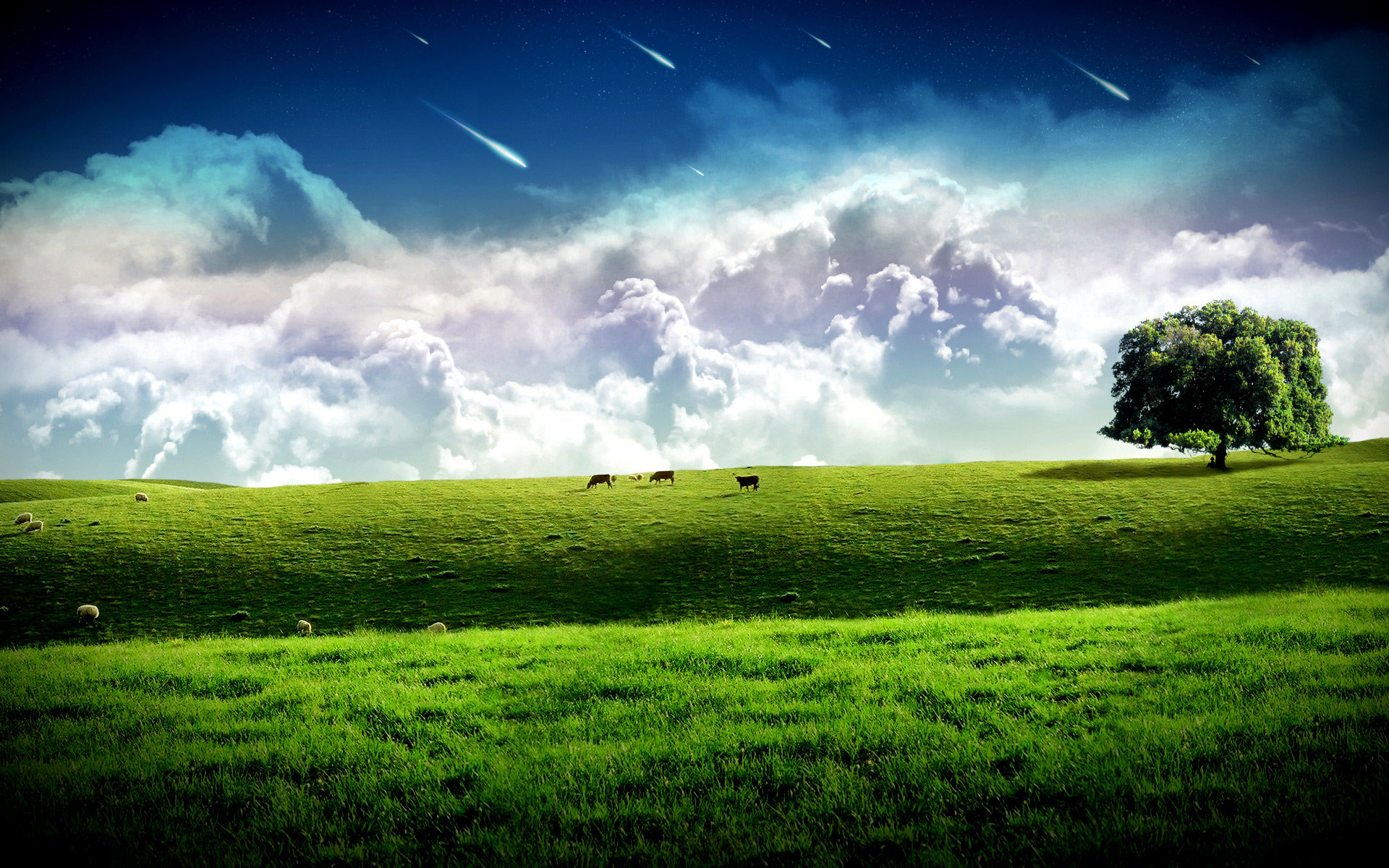 High resolution Cool nature hd 1920x1200 background ID:420115 for desktop