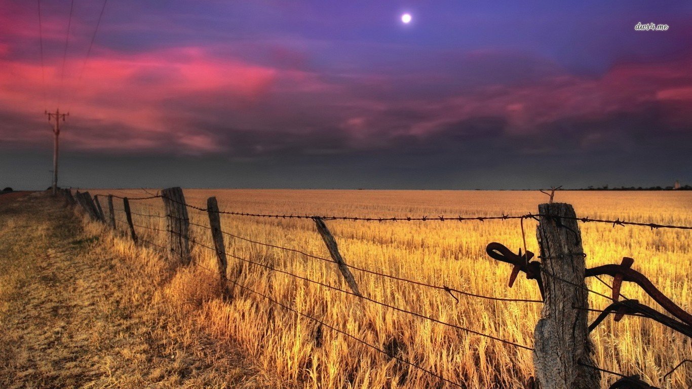 Free Fence high quality wallpaper ID:22958 for hd 1366x768 PC
