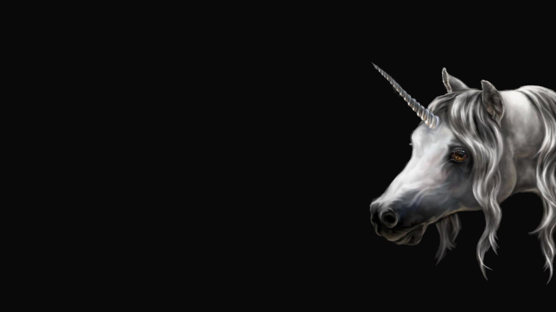 High resolution Unicorn full hd 1080p wallpaper ID:408685 for desktop