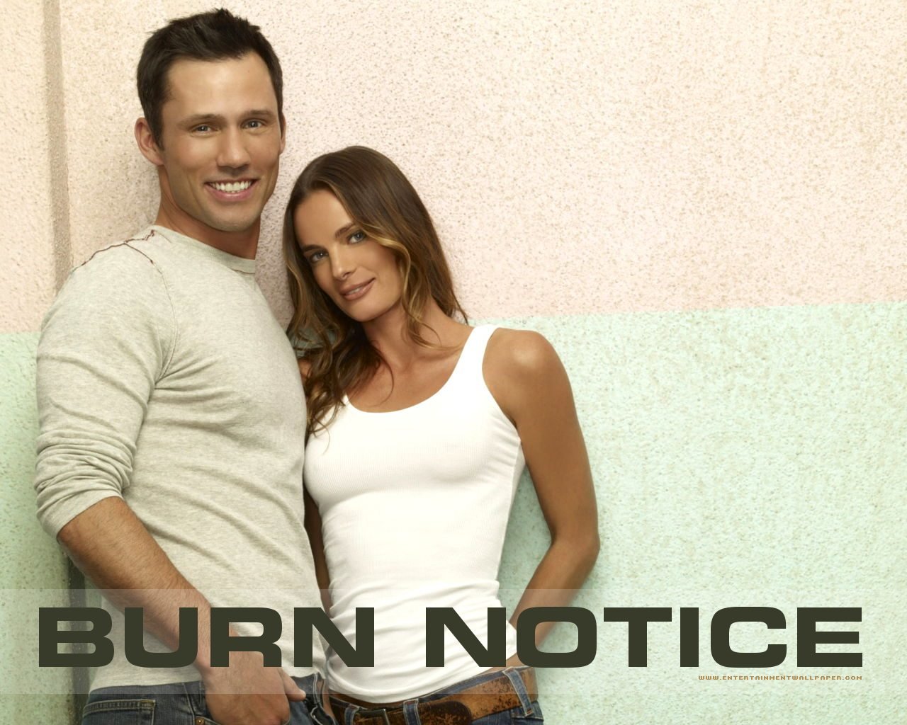 Free Burn Notice high quality background ID:137842 for hd 1280x1024 computer