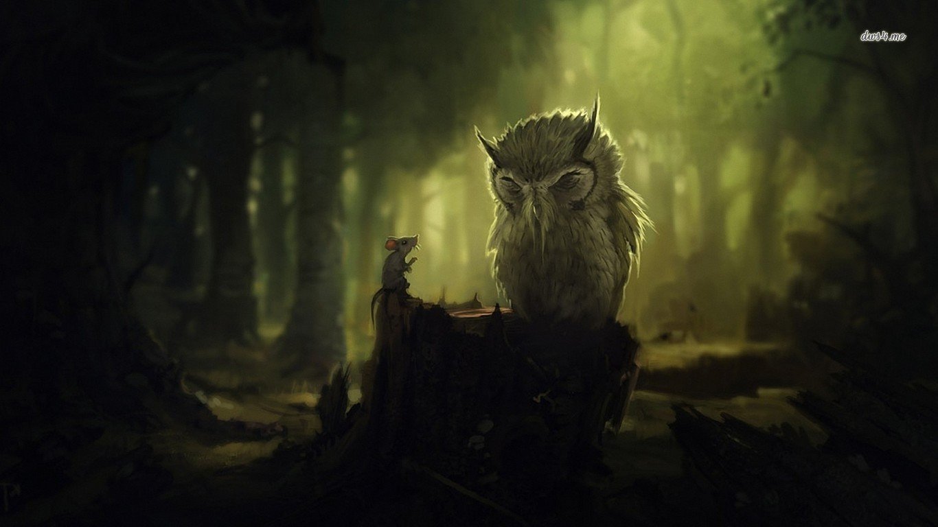 High resolution Owl hd 1366x768 wallpaper ID:237168 for PC