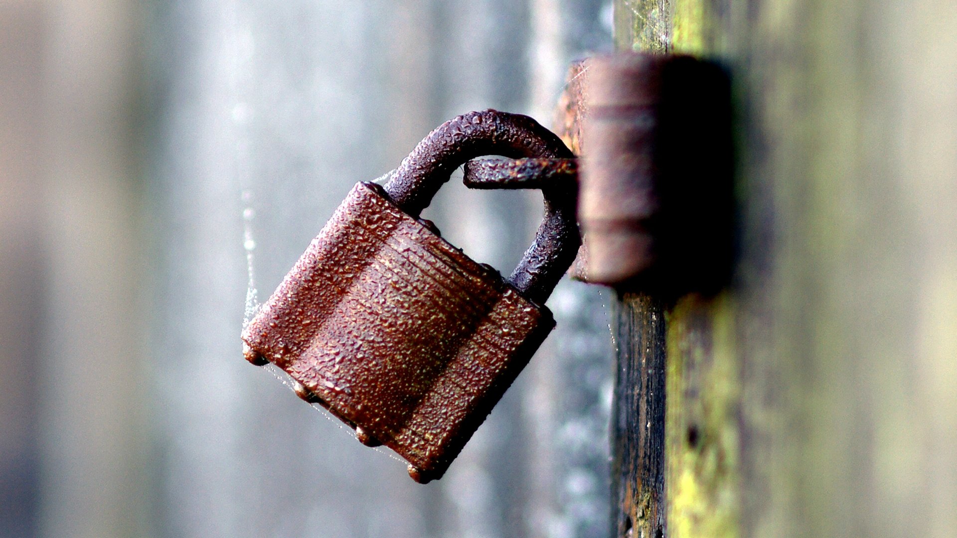 Awesome Padlock free background ID:300597 for full hd computer