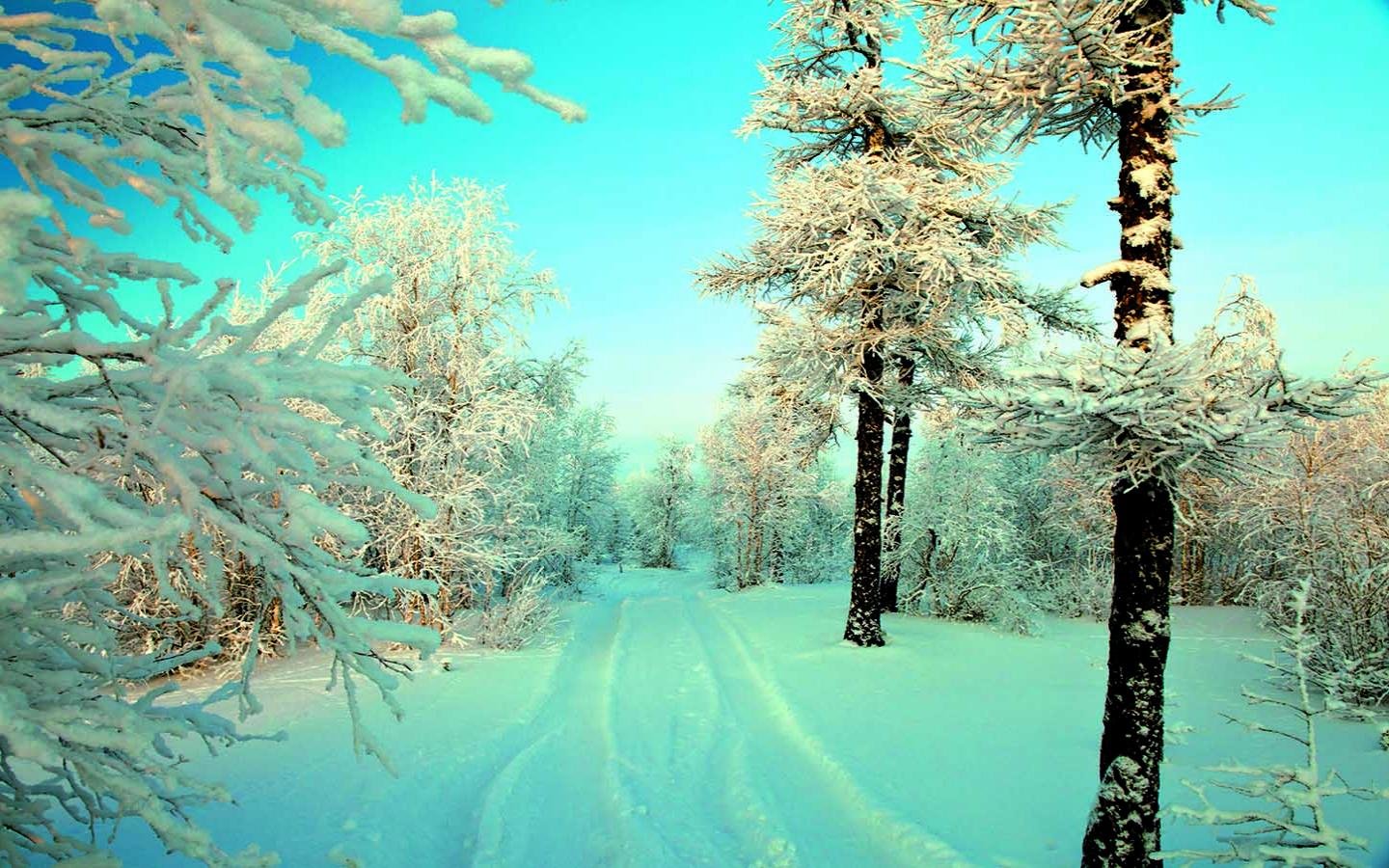 Download hd 1440x900 Winter computer wallpaper ID:251803 for free