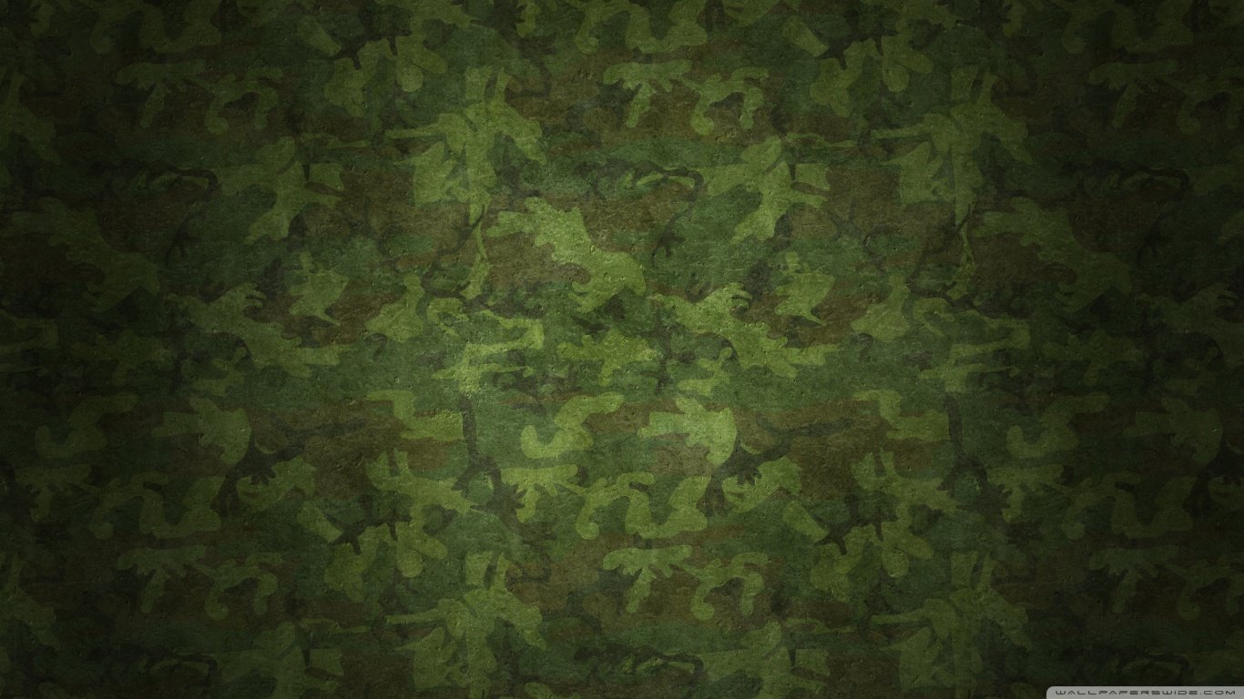 Download hd 1366x768 Camouflage (camo) desktop wallpaper ID:315557 for free