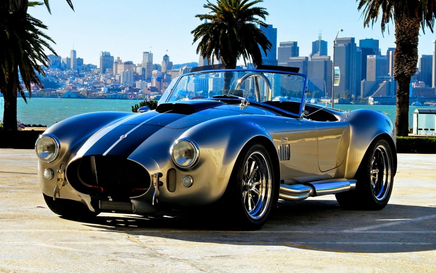 High resolution AC Cobra (Shelby) hd 1440x900 background ID:375208 for computer