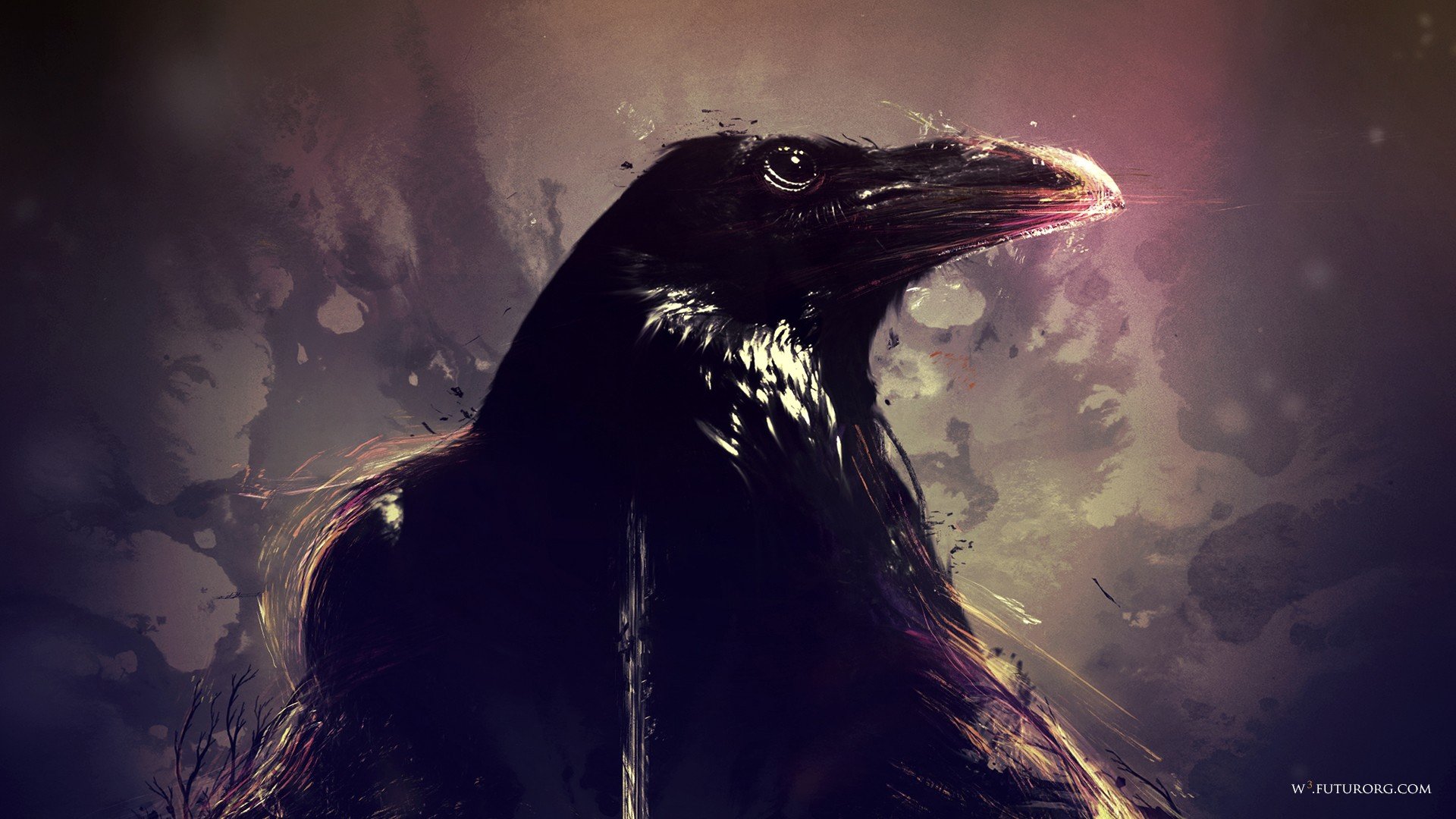 Awesome Crow free wallpaper ID:466098 for hd 1920x1080 computer