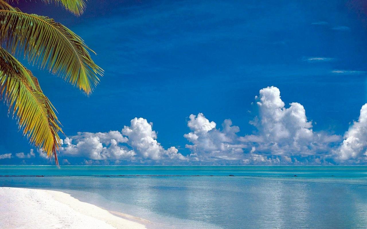 Awesome Tropical free wallpaper ID:319882 for hd 1280x800 PC