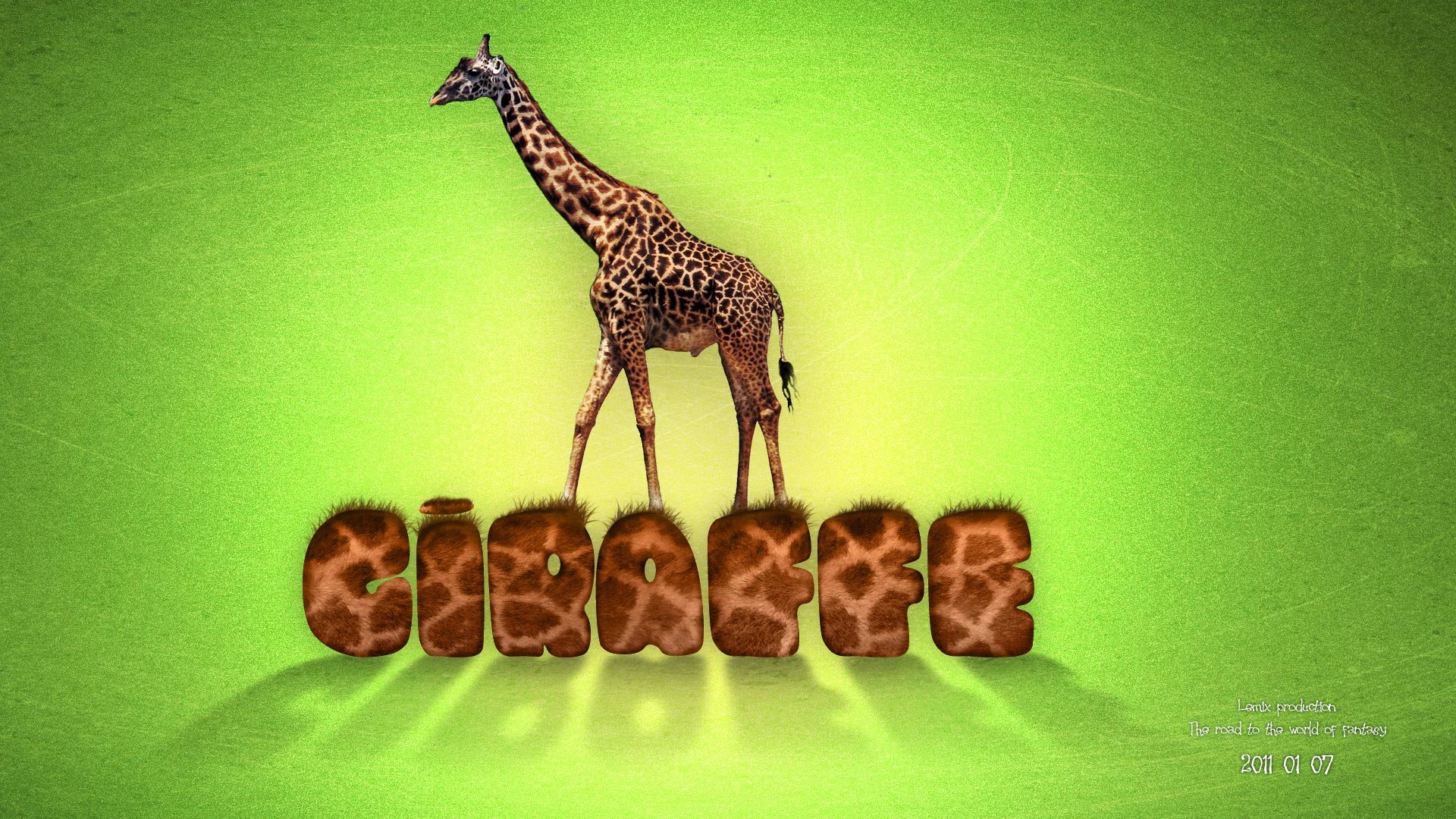 Free Giraffe high quality background ID:332558 for full hd 1080p computer