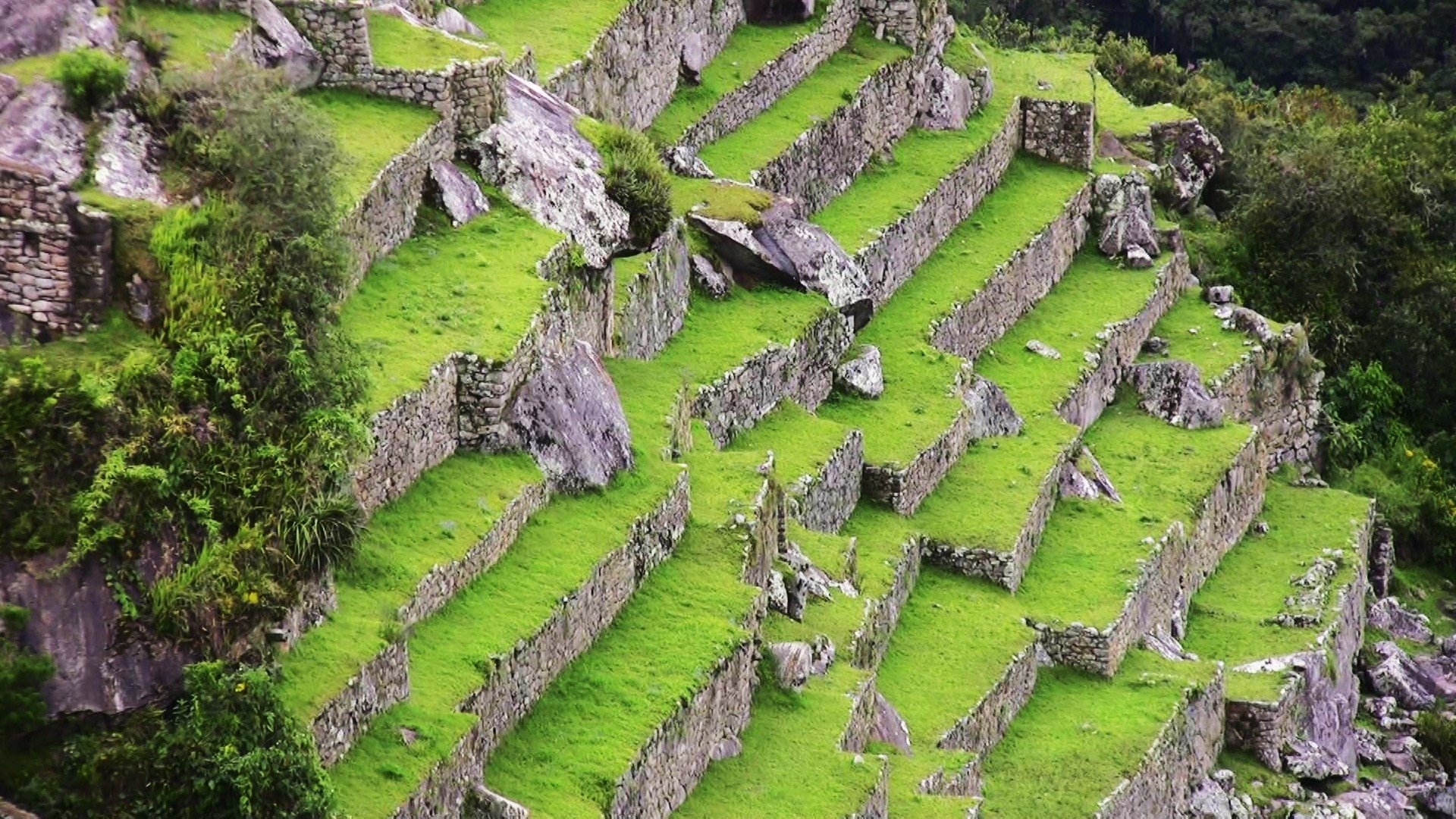 Download hd 1080p Machu Picchu desktop wallpaper ID:488686 for free
