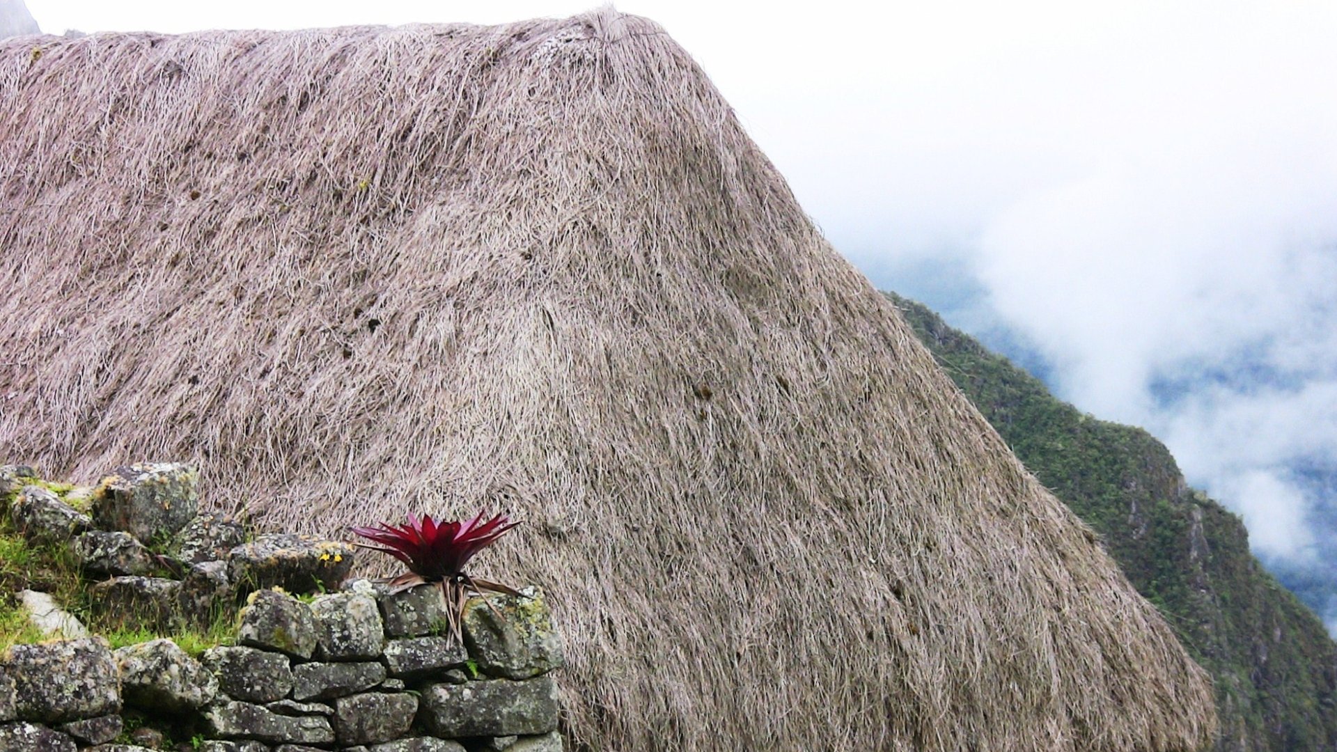 Free download Machu Picchu wallpaper ID:488723 hd 1920x1080 for computer