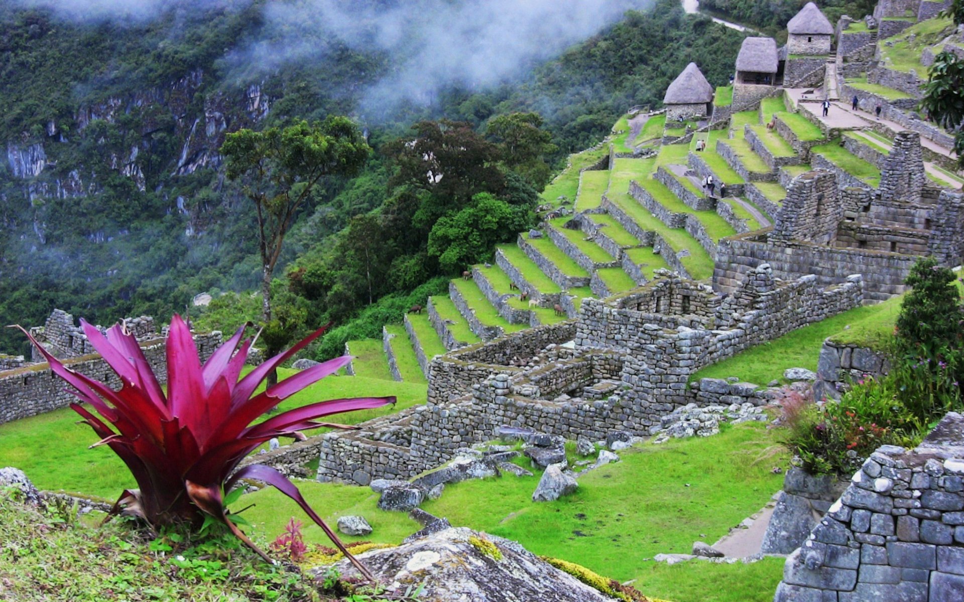 Free Machu Picchu high quality wallpaper ID:488691 for hd 1920x1200 desktop