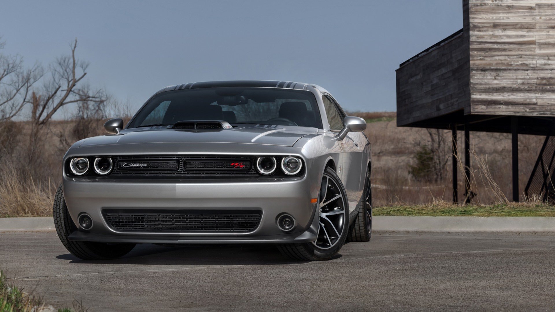 Free Dodge Challenger high quality background ID:231805 for hd 1080p desktop