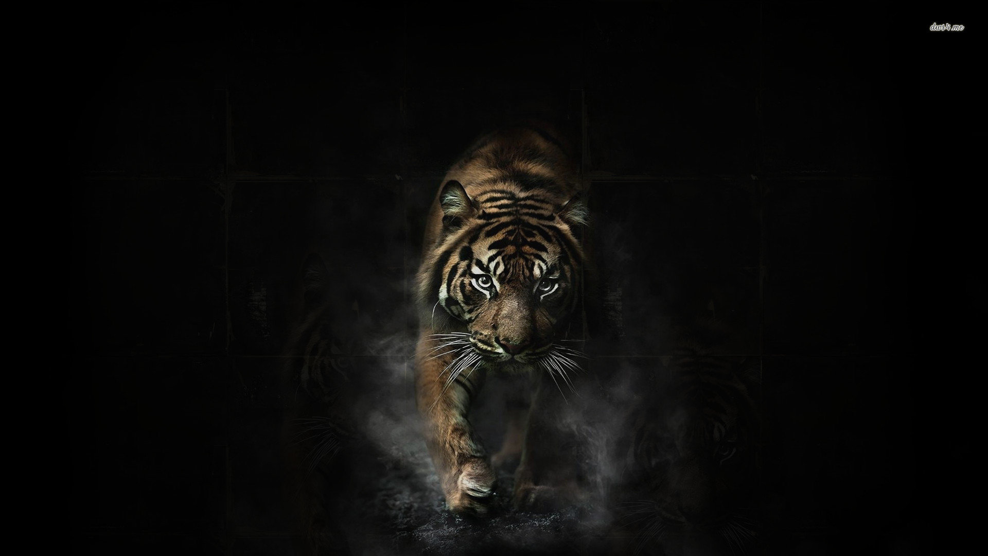 Awesome Tiger free background ID:115878 for full hd PC