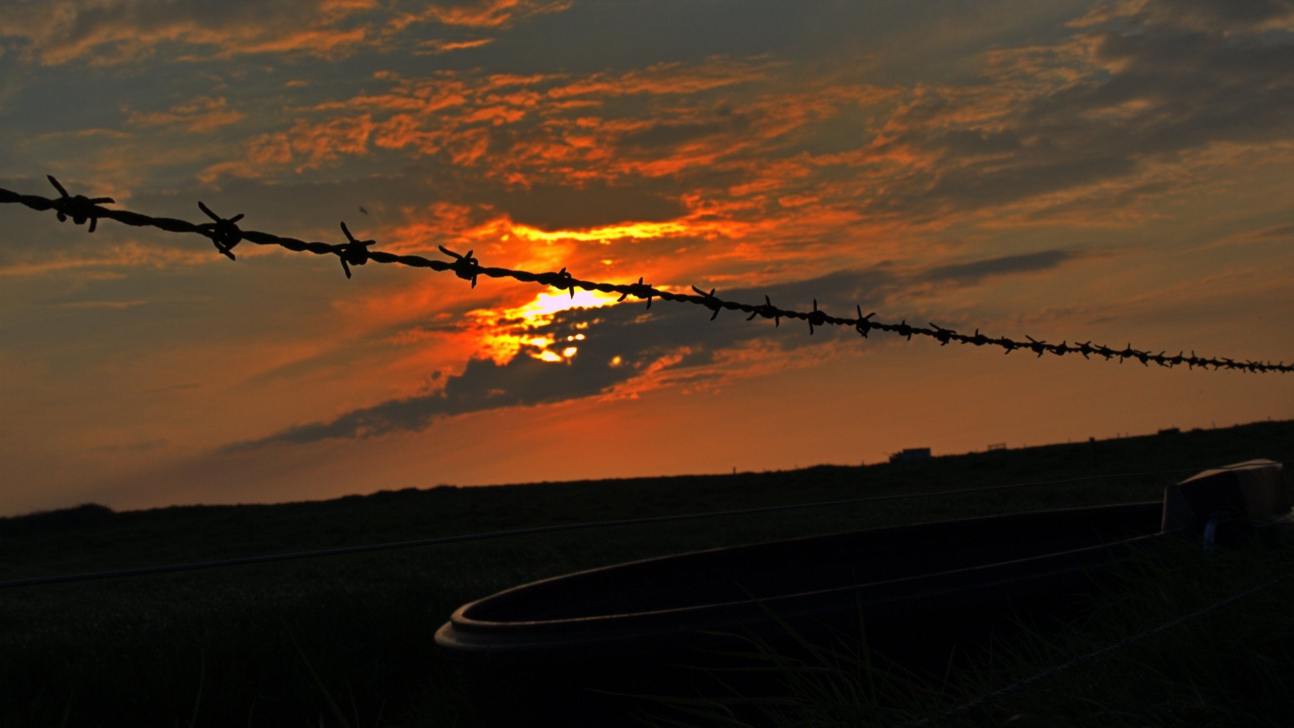 Awesome Barb Wire free background ID:259585 for hd 2560x1440 PC