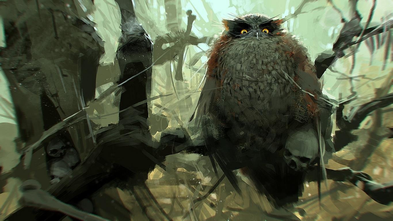 Download hd 1366x768 Owl computer background ID:237365 for free