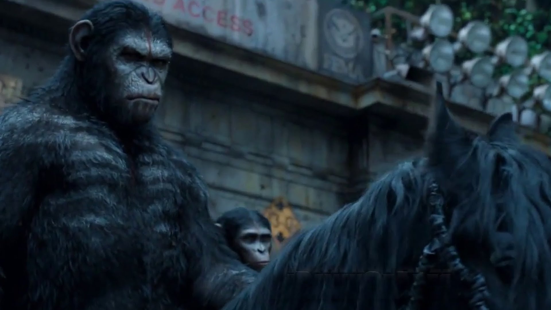 Best Dawn Of The Planet Of The Apes background ID:213710 for High Resolution 1080p desktop