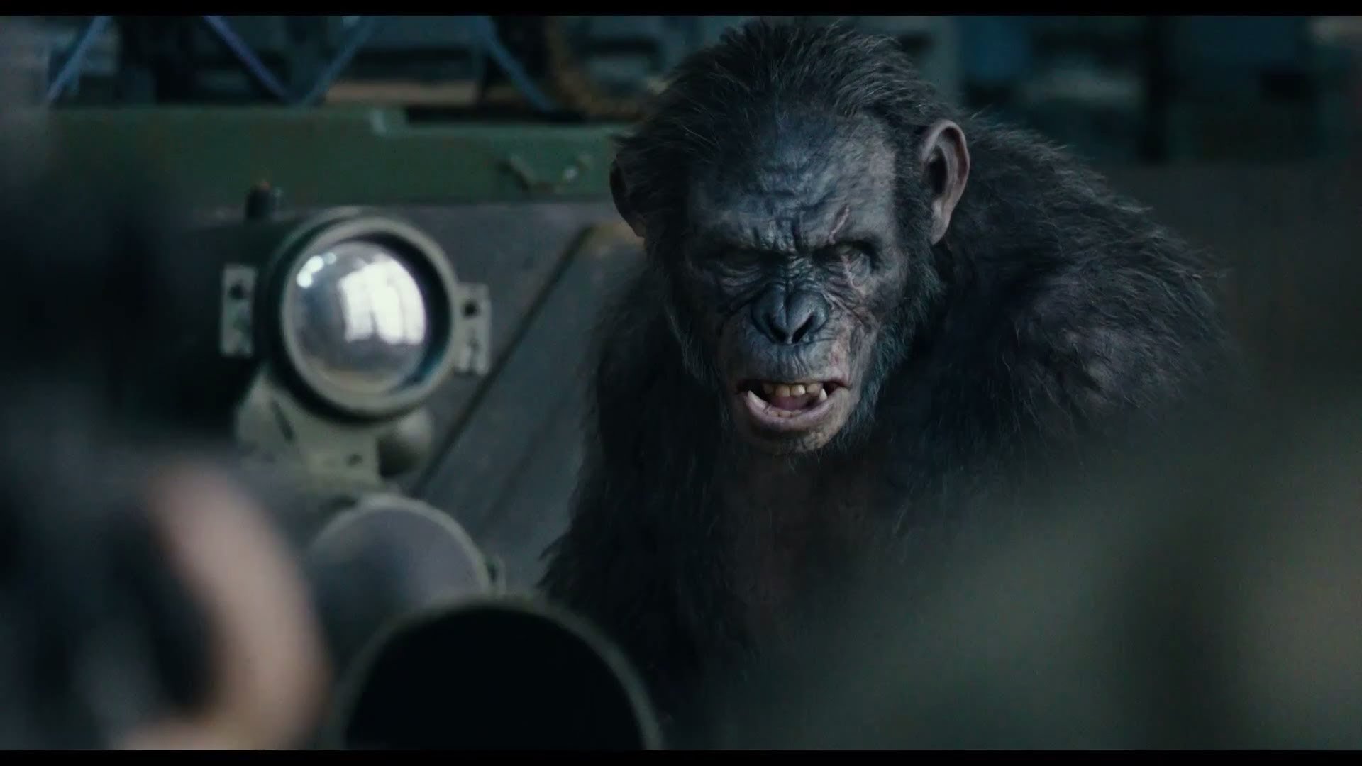 Free Dawn Of The Planet Of The Apes high quality wallpaper ID:213702 for full hd 1080p desktop
