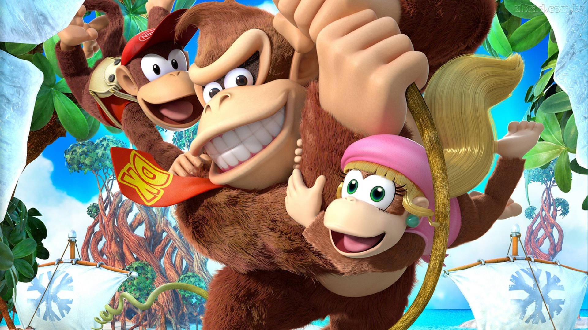 Free download Donkey Kong Country: Tropical Freeze background ID:250554 full hd 1080p for computer