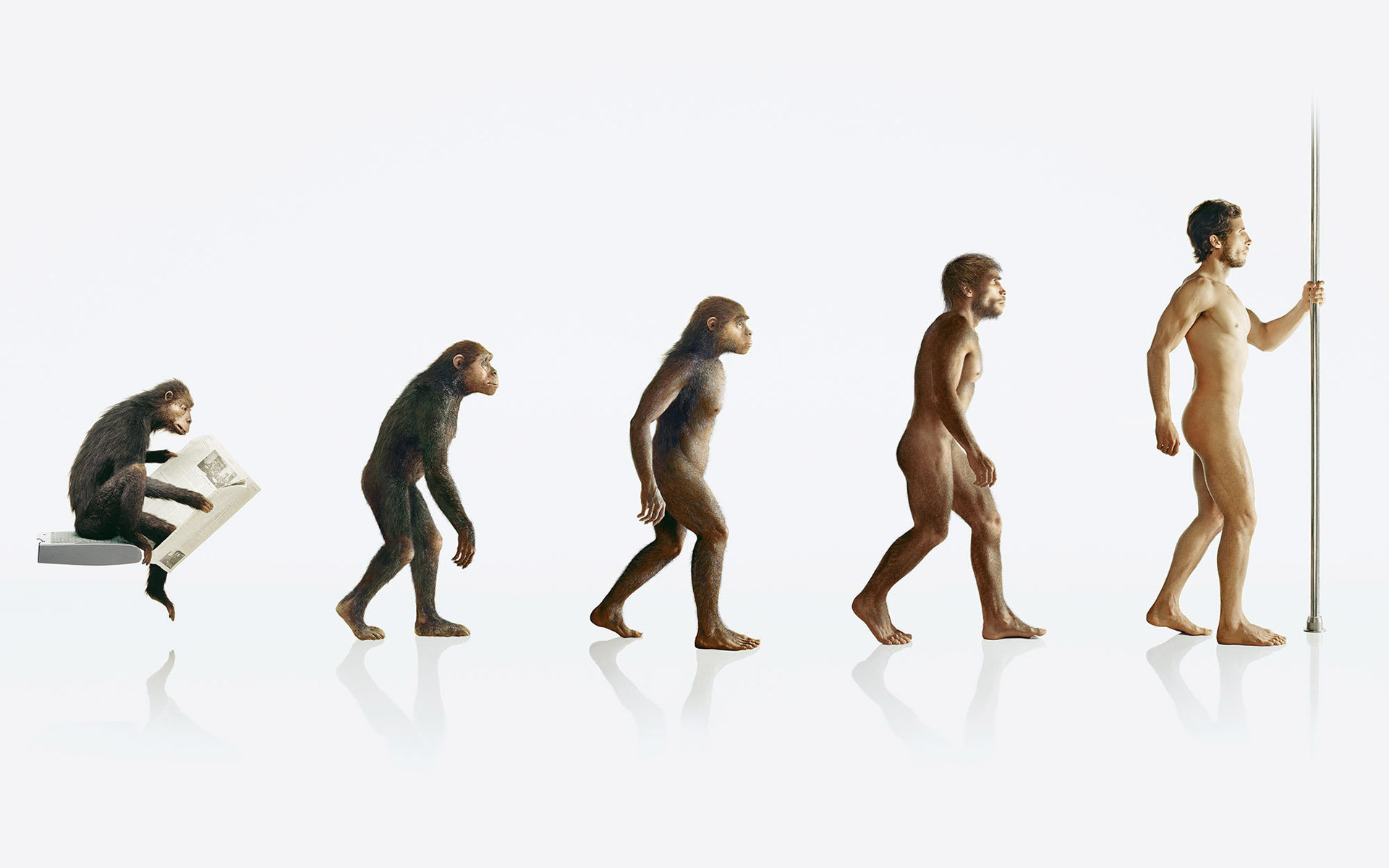 Free Evolution high quality background ID:110145 for hd 1920x1200 PC