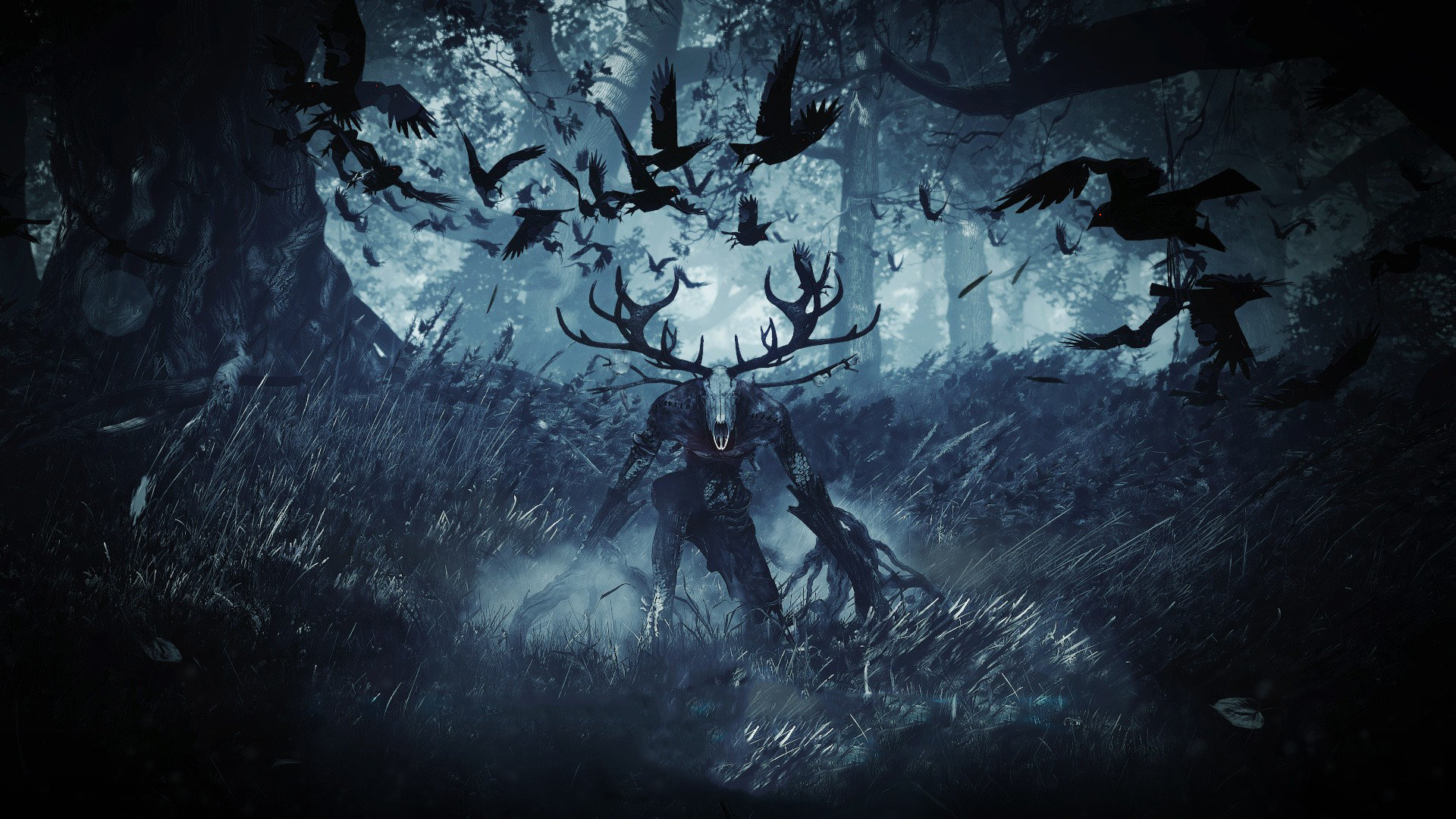 Free download The Witcher 3: Wild Hunt background ID:17976 full hd 1080p for PC