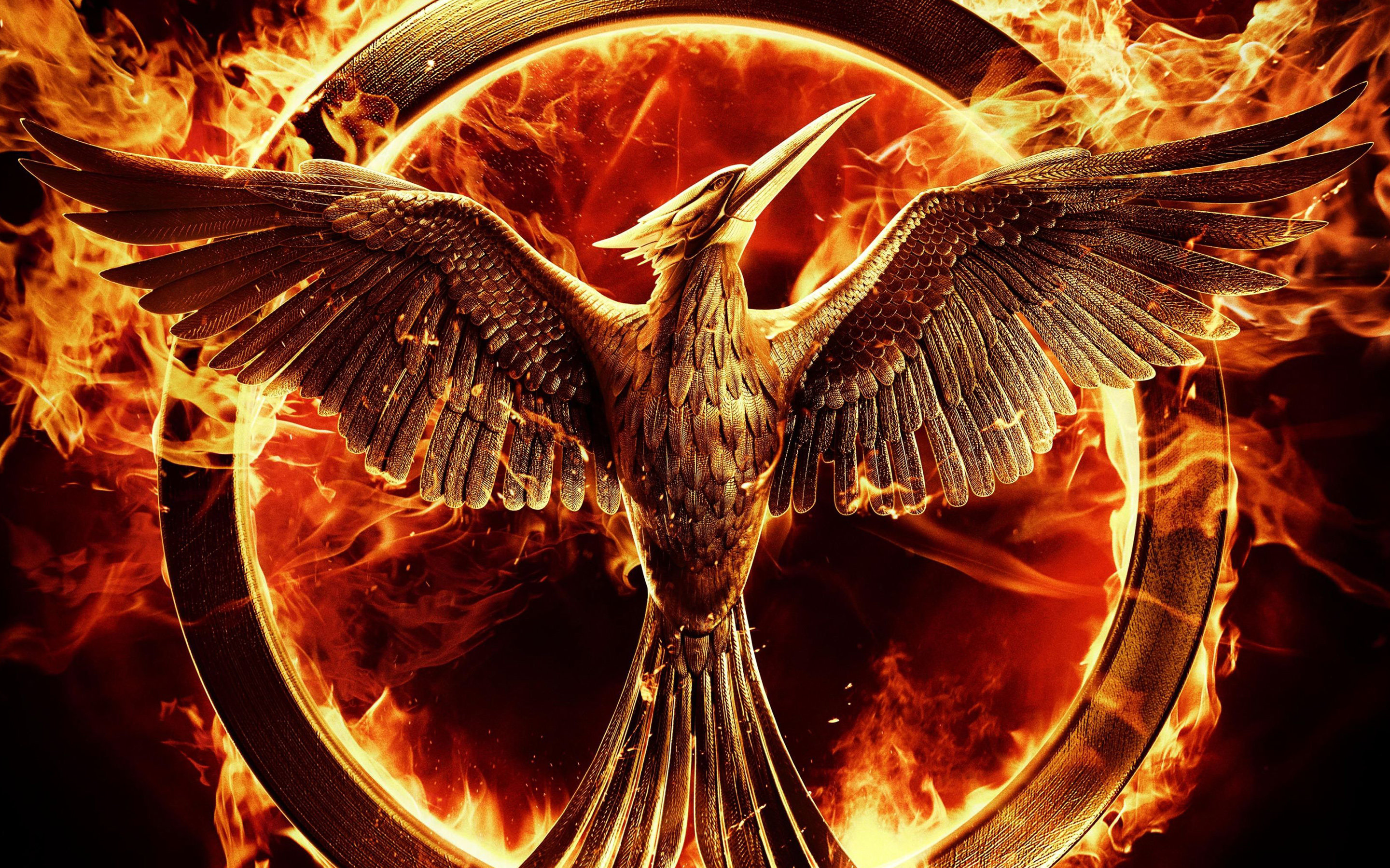Download hd 2880x1800 The Hunger Games: Mockingjay - Part 1 PC wallpaper ID:91207 for free