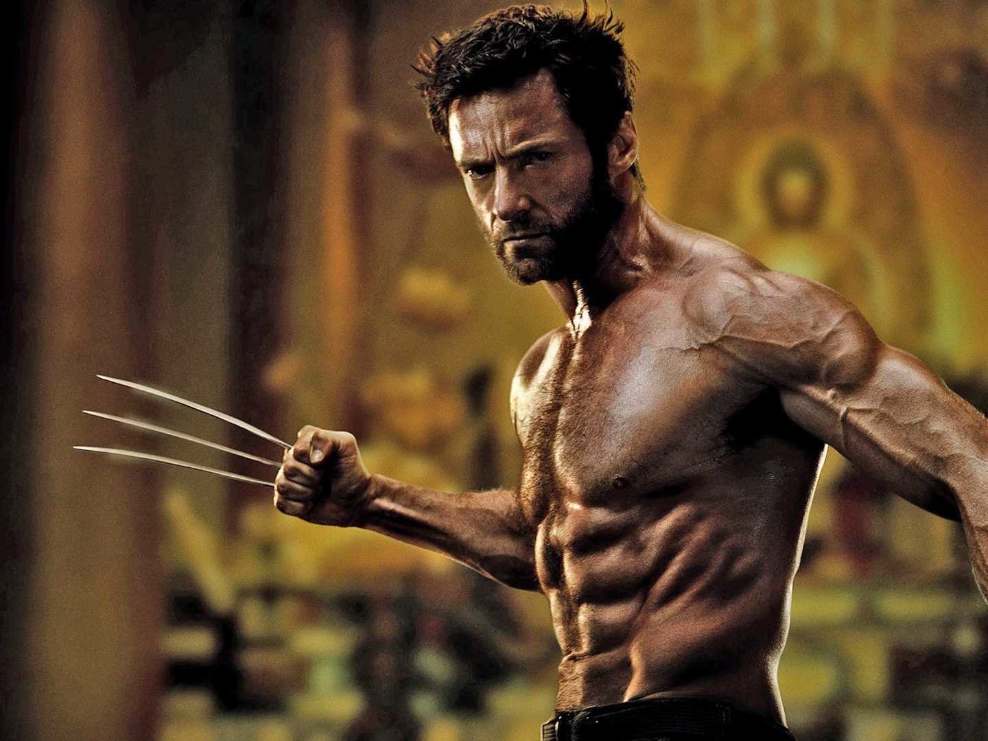 Free The Wolverine high quality background ID:164698 for hd 1440x1080 desktop