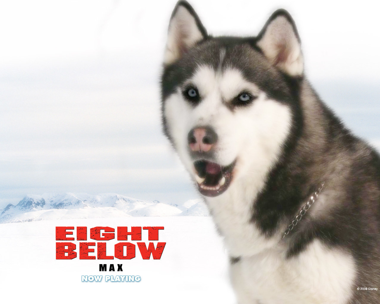 High resolution Eight Below hd 1280x1024 background ID:150004 for PC