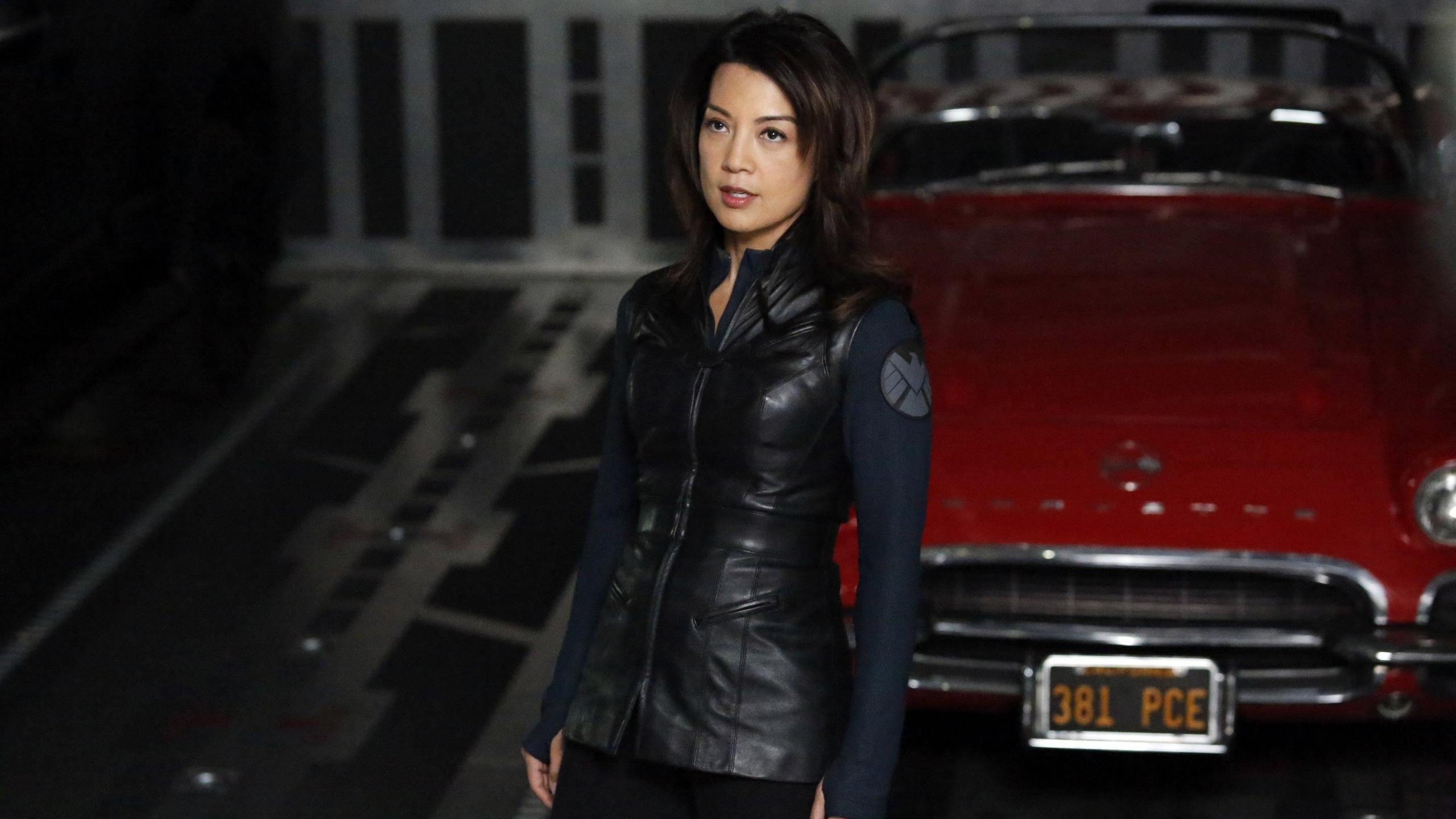 Awesome Marvel's Agents Of SHIELD free background ID:97178 for hd 2560x1440 computer