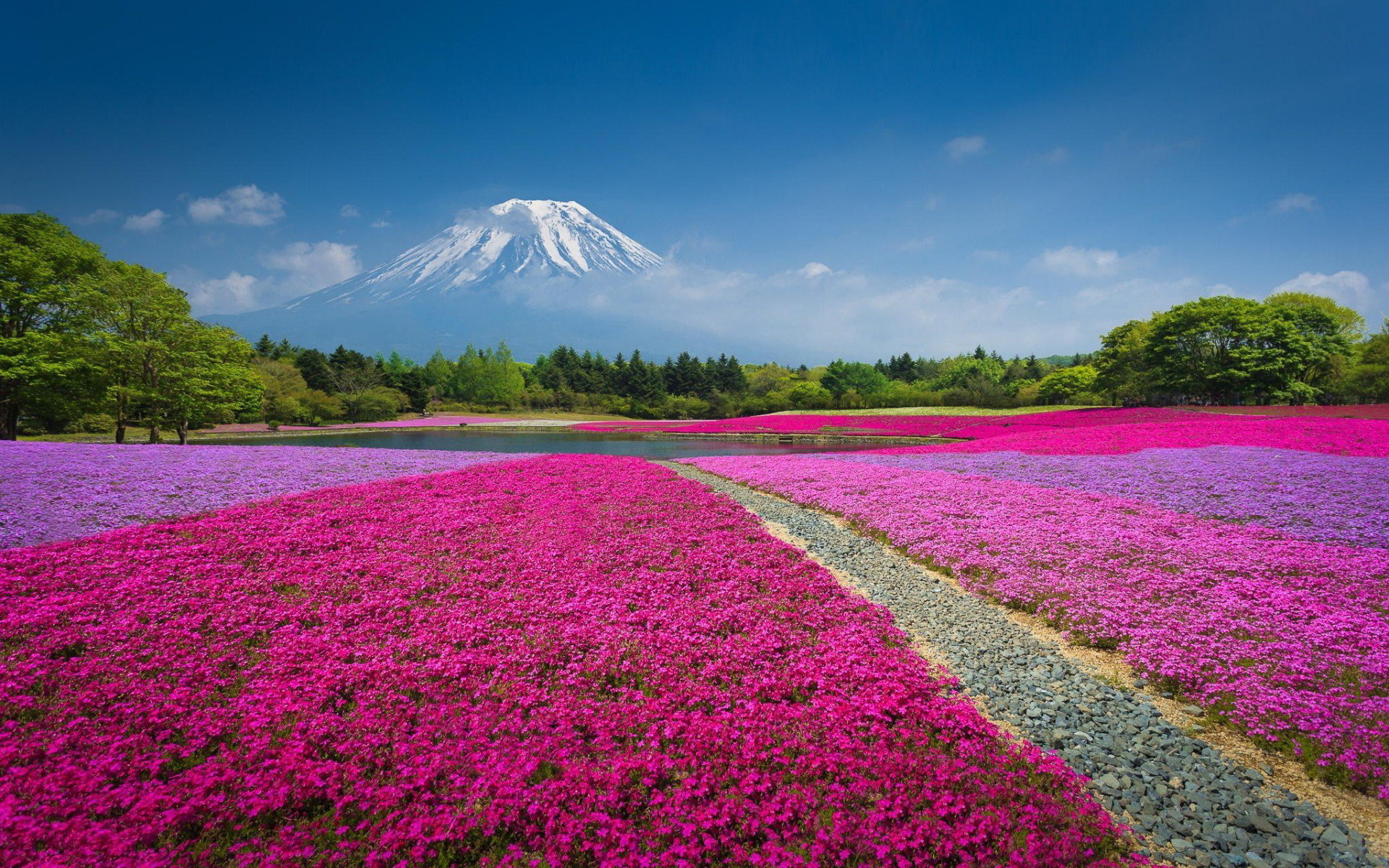 Free download Mount Fuji wallpaper ID:277720 hd 1920x1200 for desktop