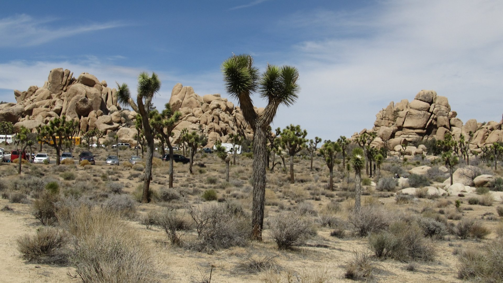 Best Joshua Tree National Park background ID:254722 for High Resolution full hd PC