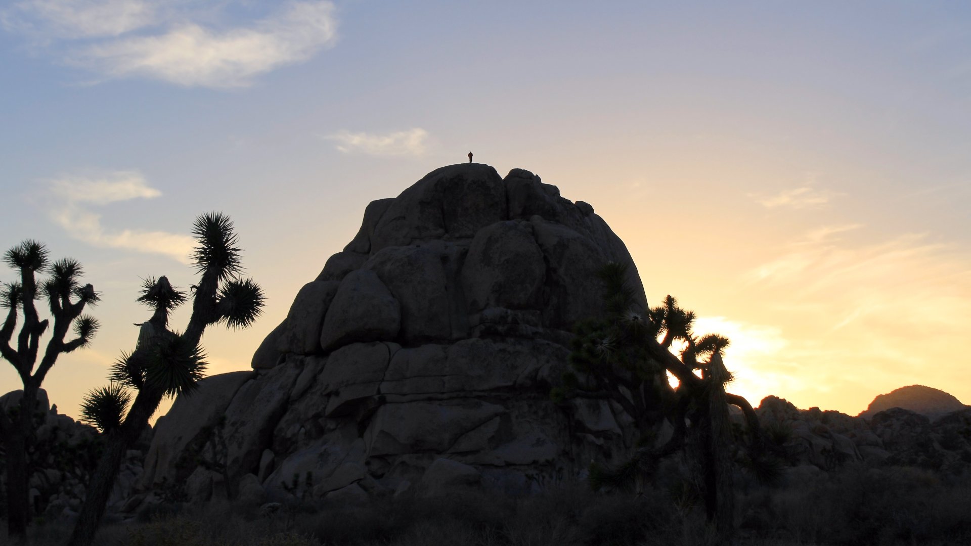 Awesome Joshua Tree National Park free wallpaper ID:254716 for hd 1920x1080 PC