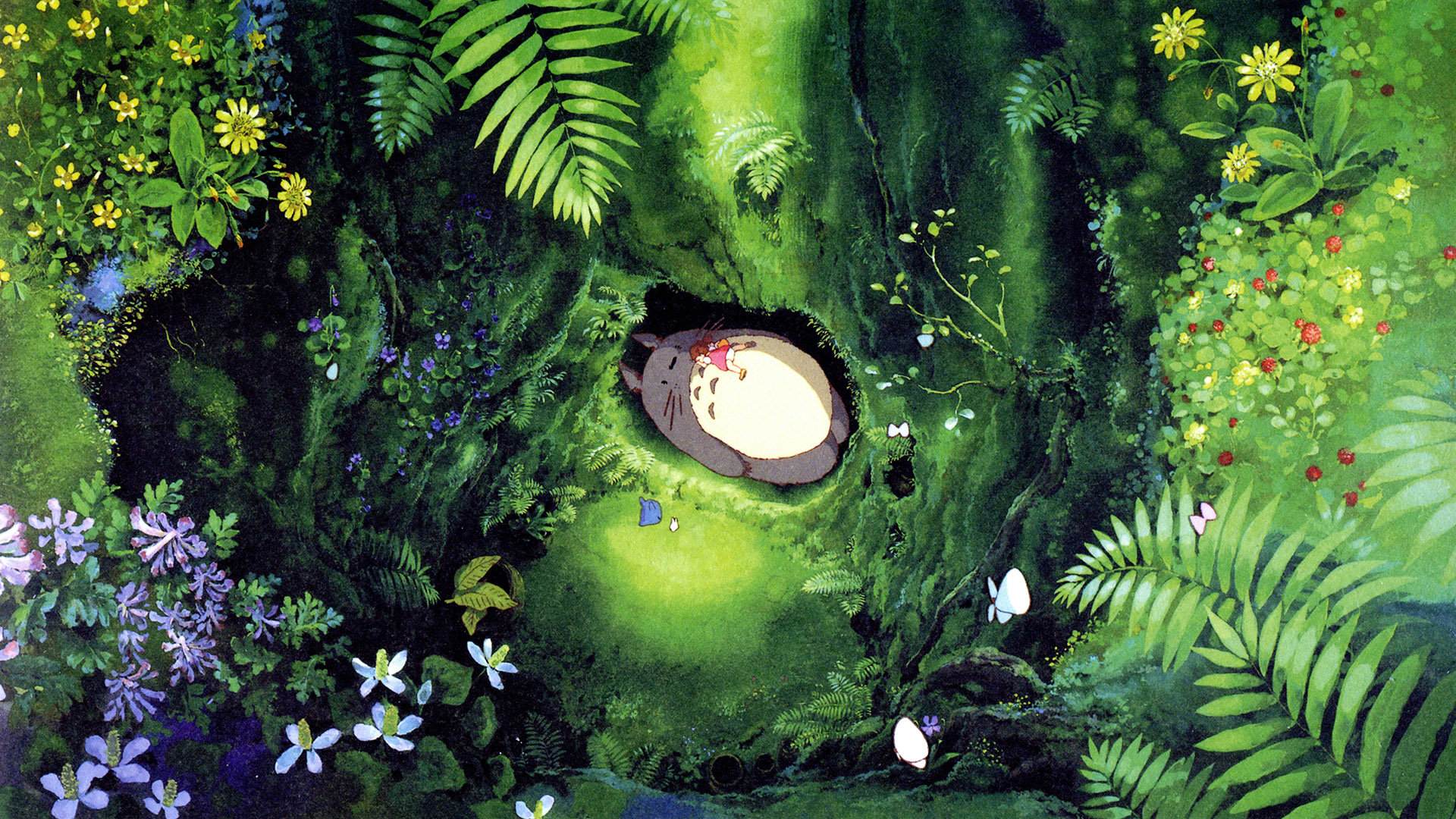 High resolution My Neighbor Totoro hd 1080p background ID:259328 for computer