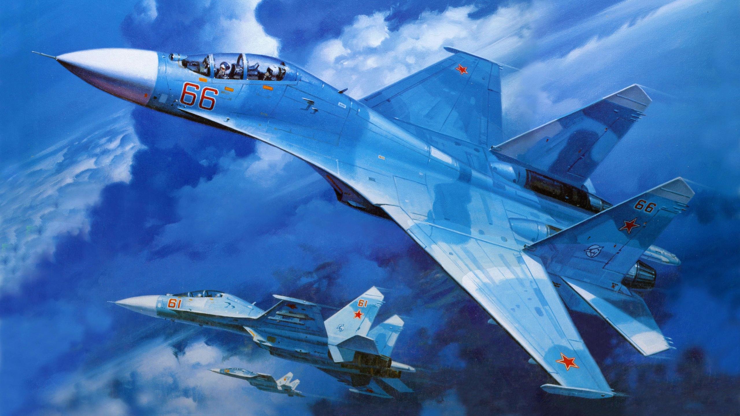 Free Sukhoi Su-27 high quality background ID:20495 for hd 2560x1440 computer