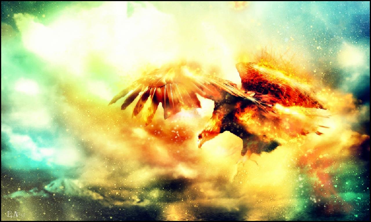 High resolution Eagle hd 1280x768 background ID:231278 for PC