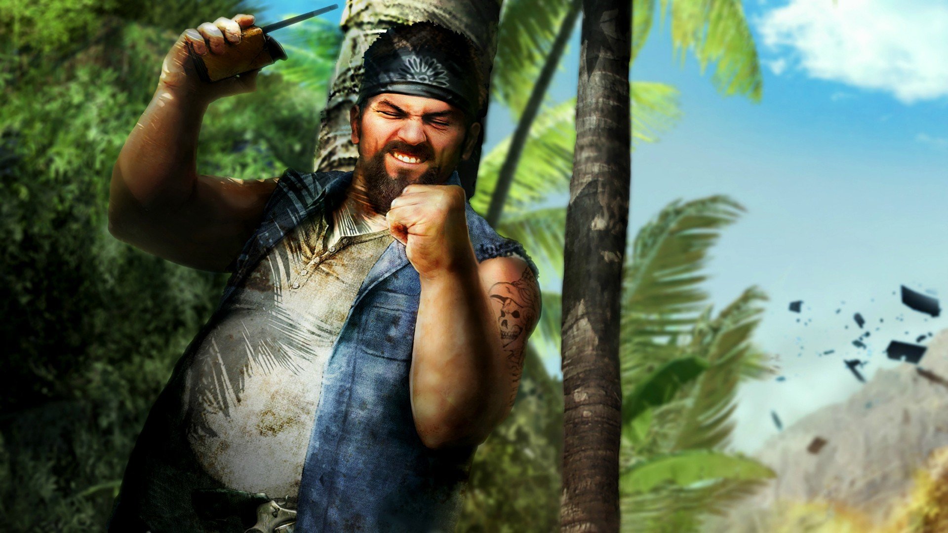 Free Far Cry 3 high quality background ID:282479 for full hd PC