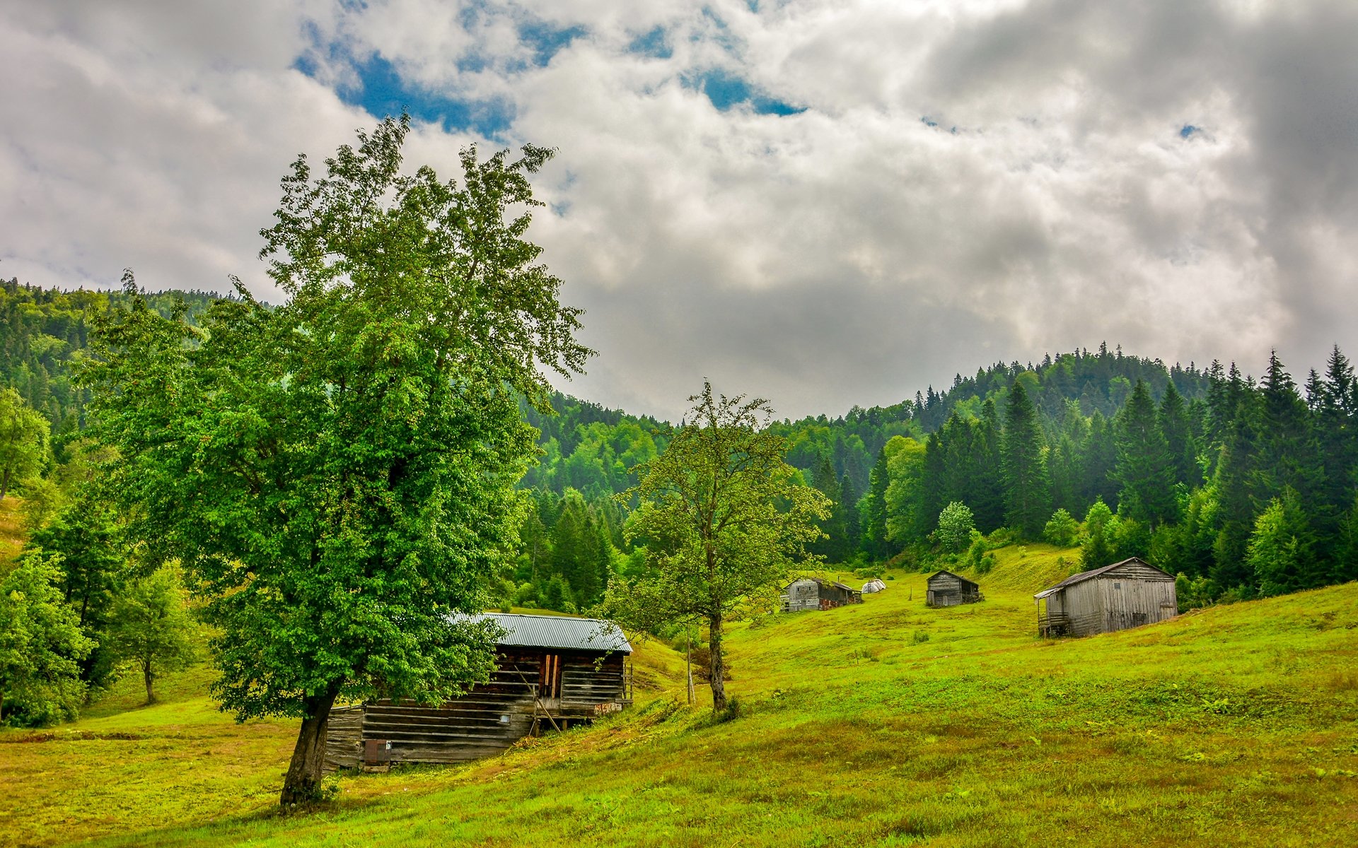 Download hd 1920x1200 Cabin desktop background ID:485839 for free