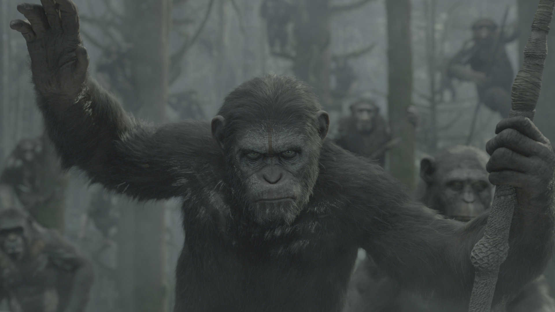 Awesome Dawn Of The Planet Of The Apes free wallpaper ID:213700 for full hd desktop