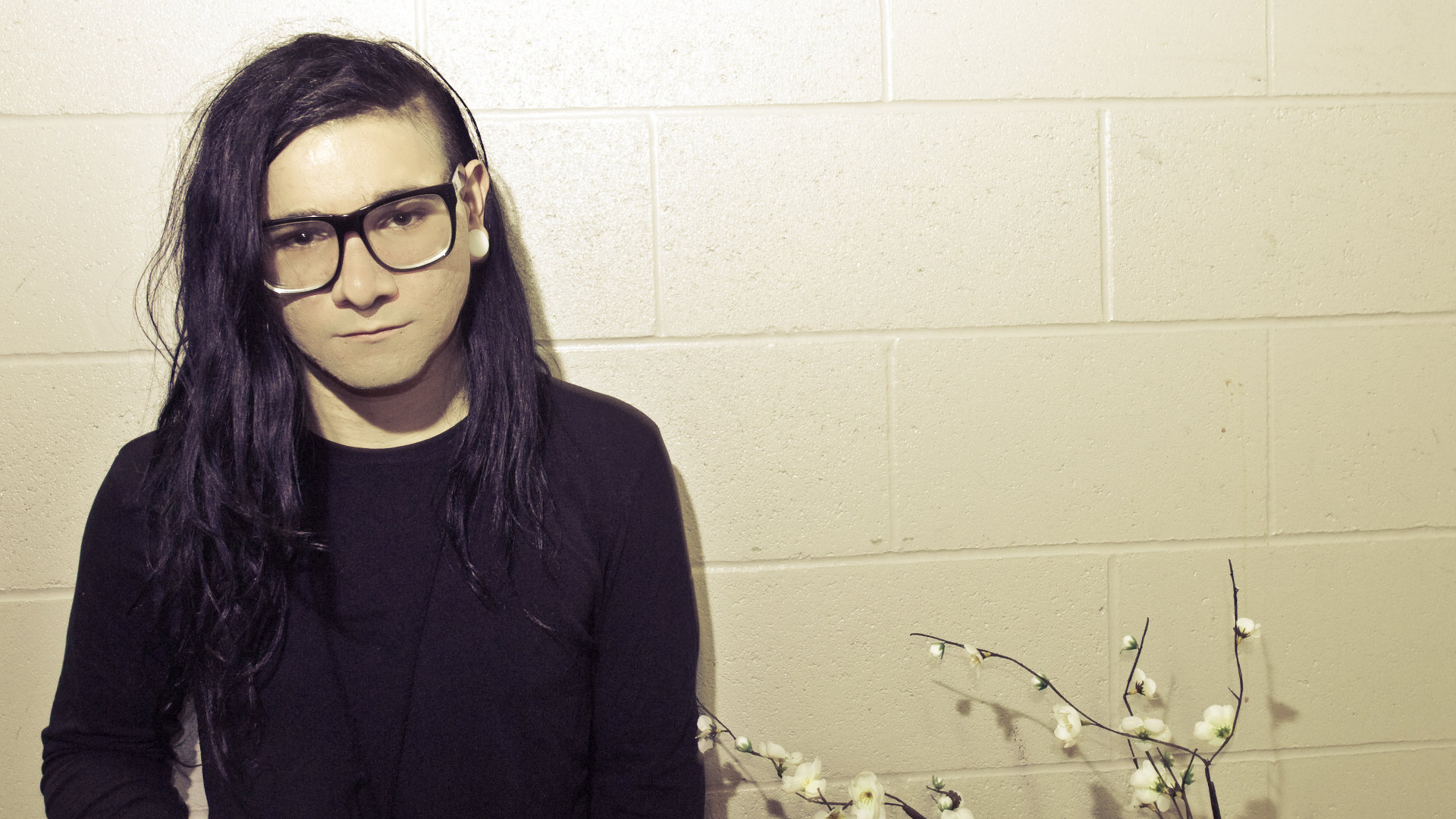 Awesome Skrillex free wallpaper ID:227273 for full hd 1080p PC