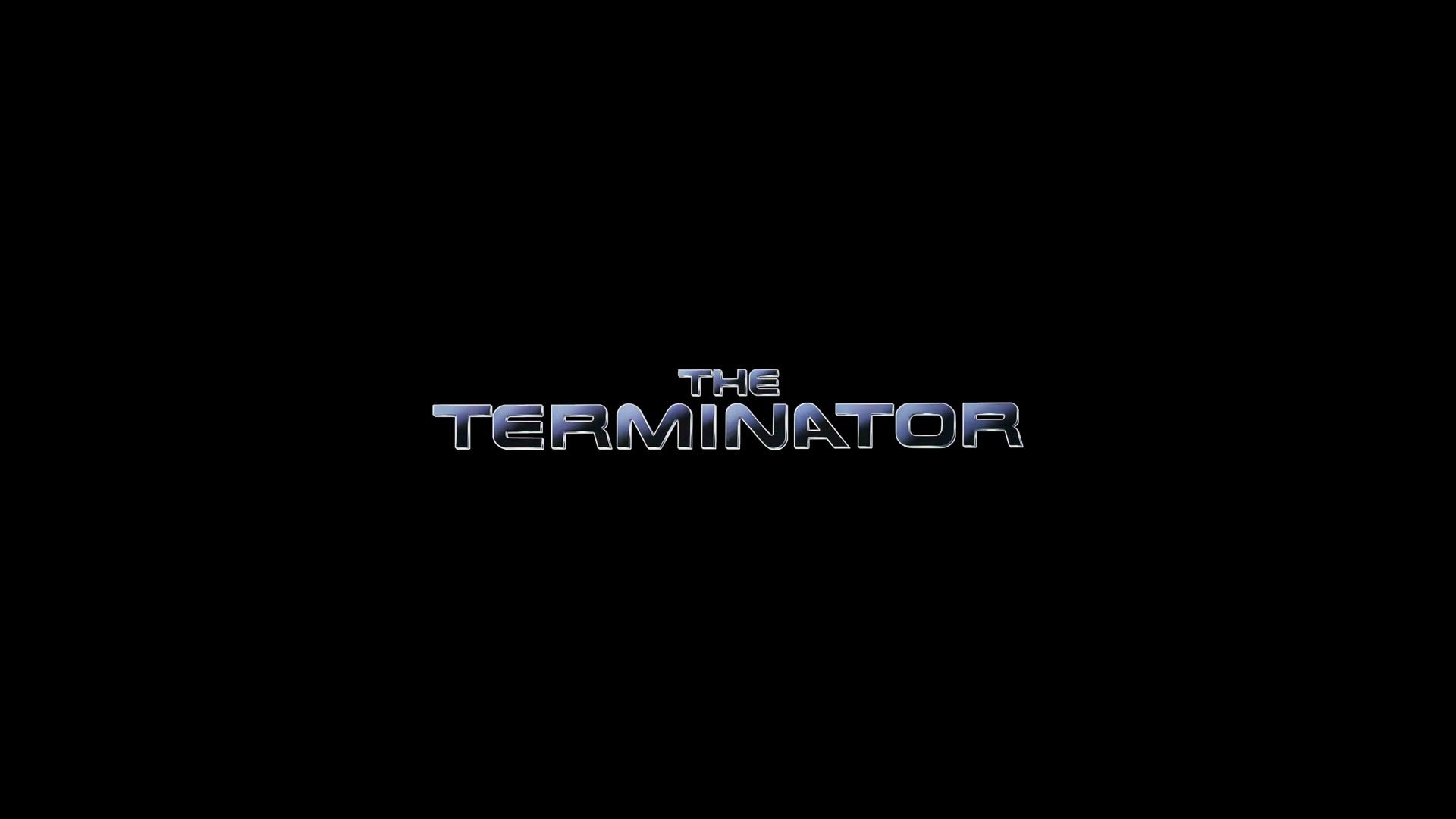Best The Terminator wallpaper ID:66808 for High Resolution full hd 1080p computer