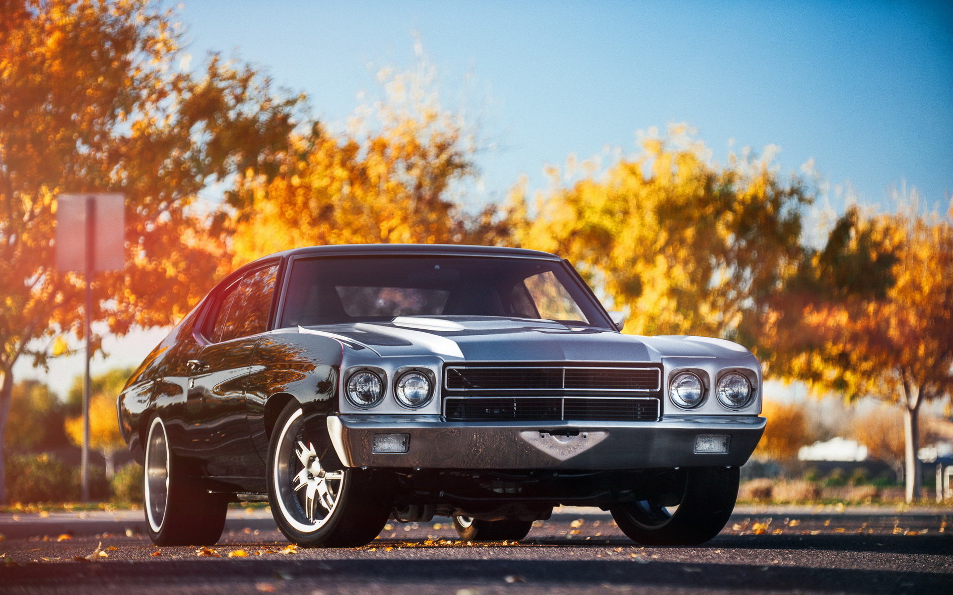 Awesome Chevrolet Chevelle free background ID:347202 for hd 1920x1200 PC