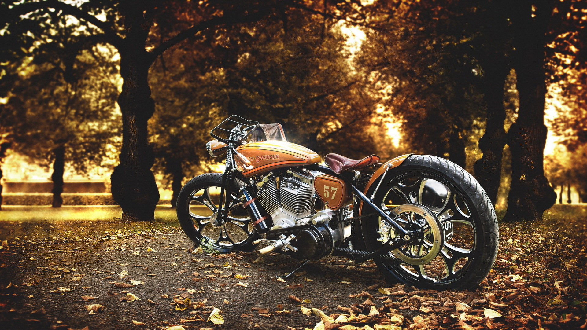 Awesome Harley Davidson free wallpaper ID:478172 for hd 1080p PC