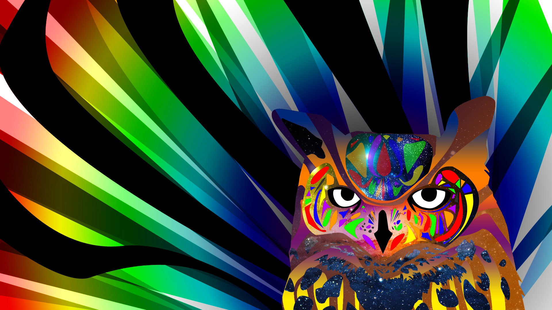 Free download Owl background ID:236920 1080p for computer
