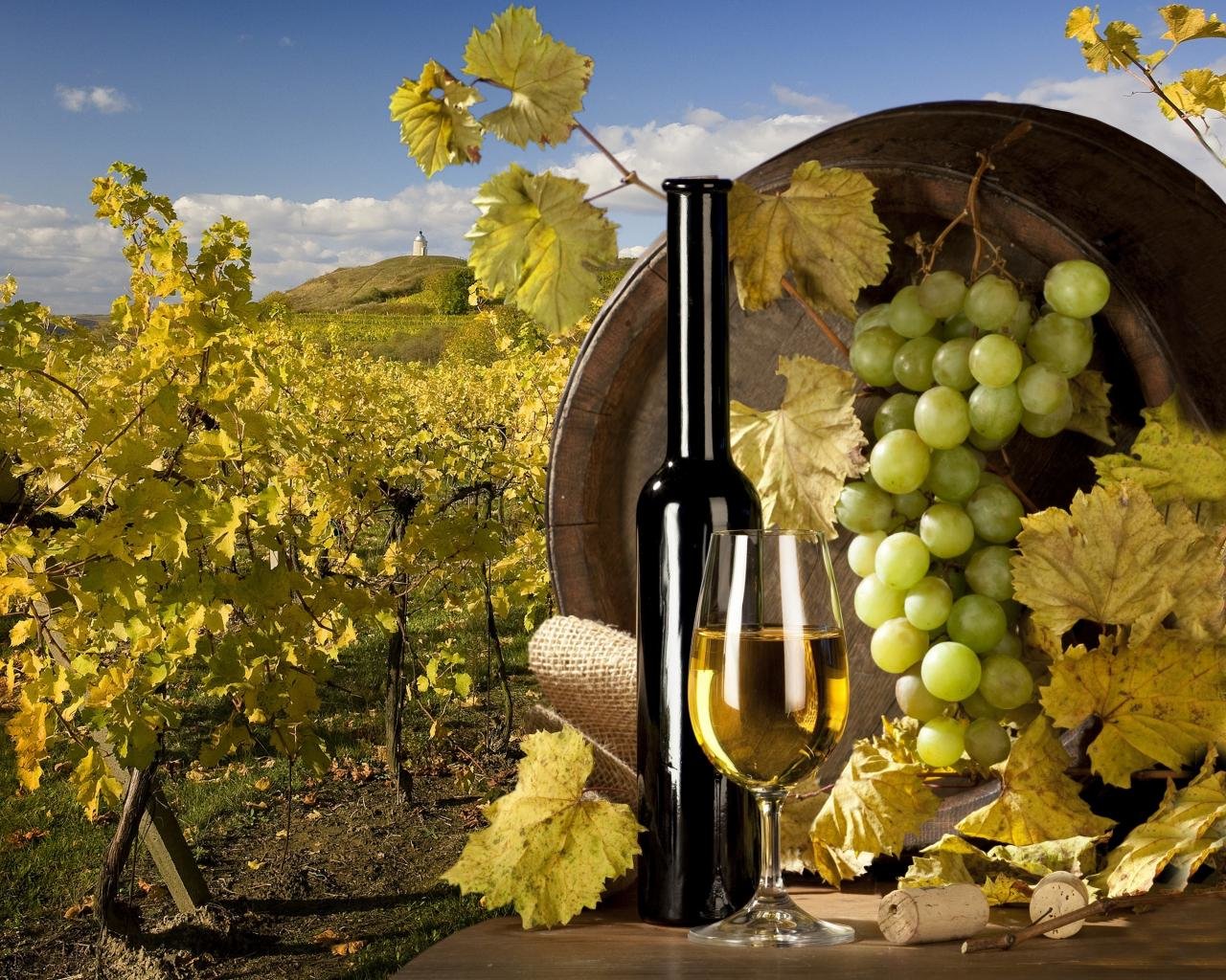 Best Wine background ID:71124 for High Resolution hd 1280x1024 computer