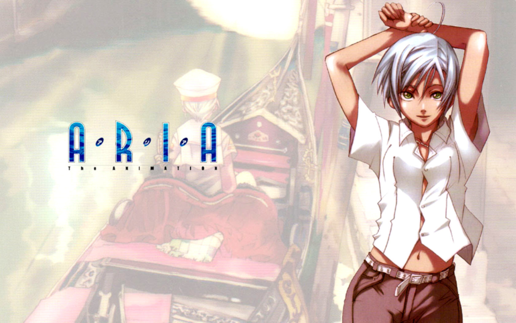 High resolution Aria hd 1680x1050 background ID:179153 for PC