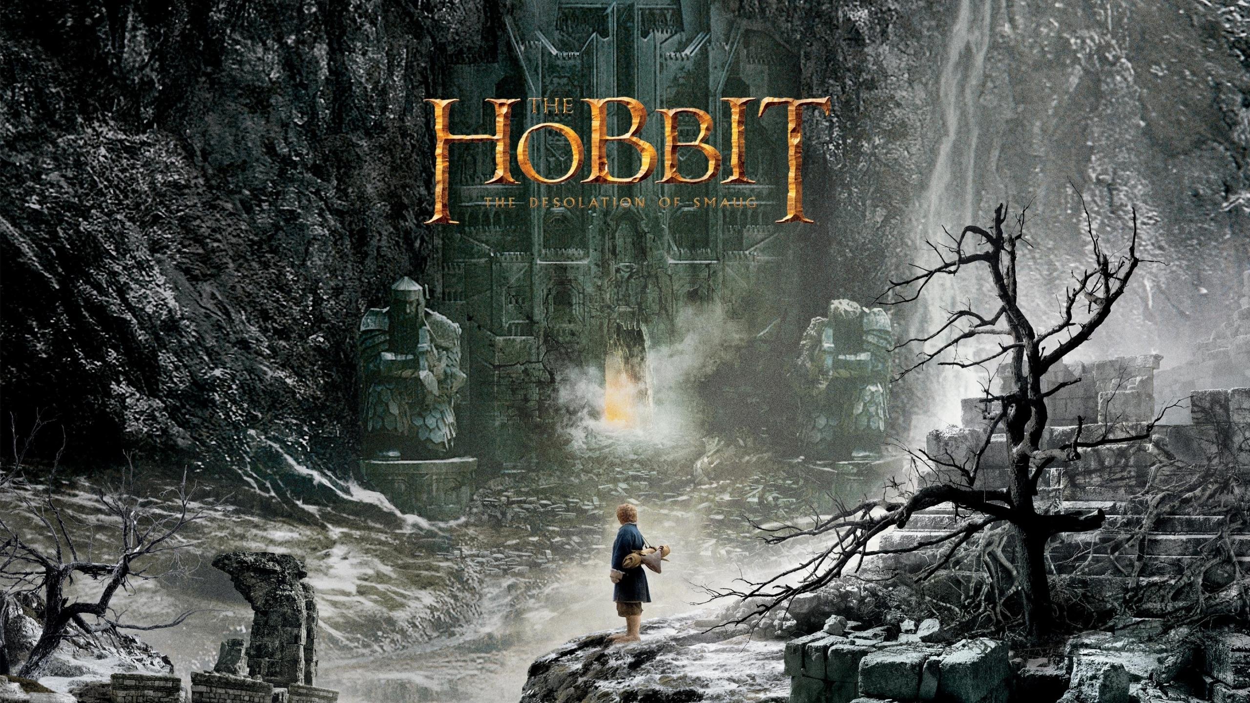High resolution The Hobbit: The Desolation Of Smaug hd 2560x1440 wallpaper ID:397806 for computer