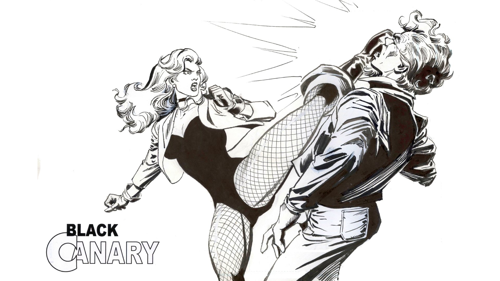 High resolution Black Canary full hd 1080p wallpaper ID:365845 for computer