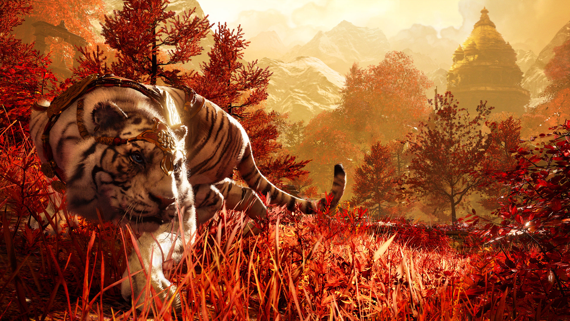Download hd 1080p Far Cry 4 computer background ID:10669 for free
