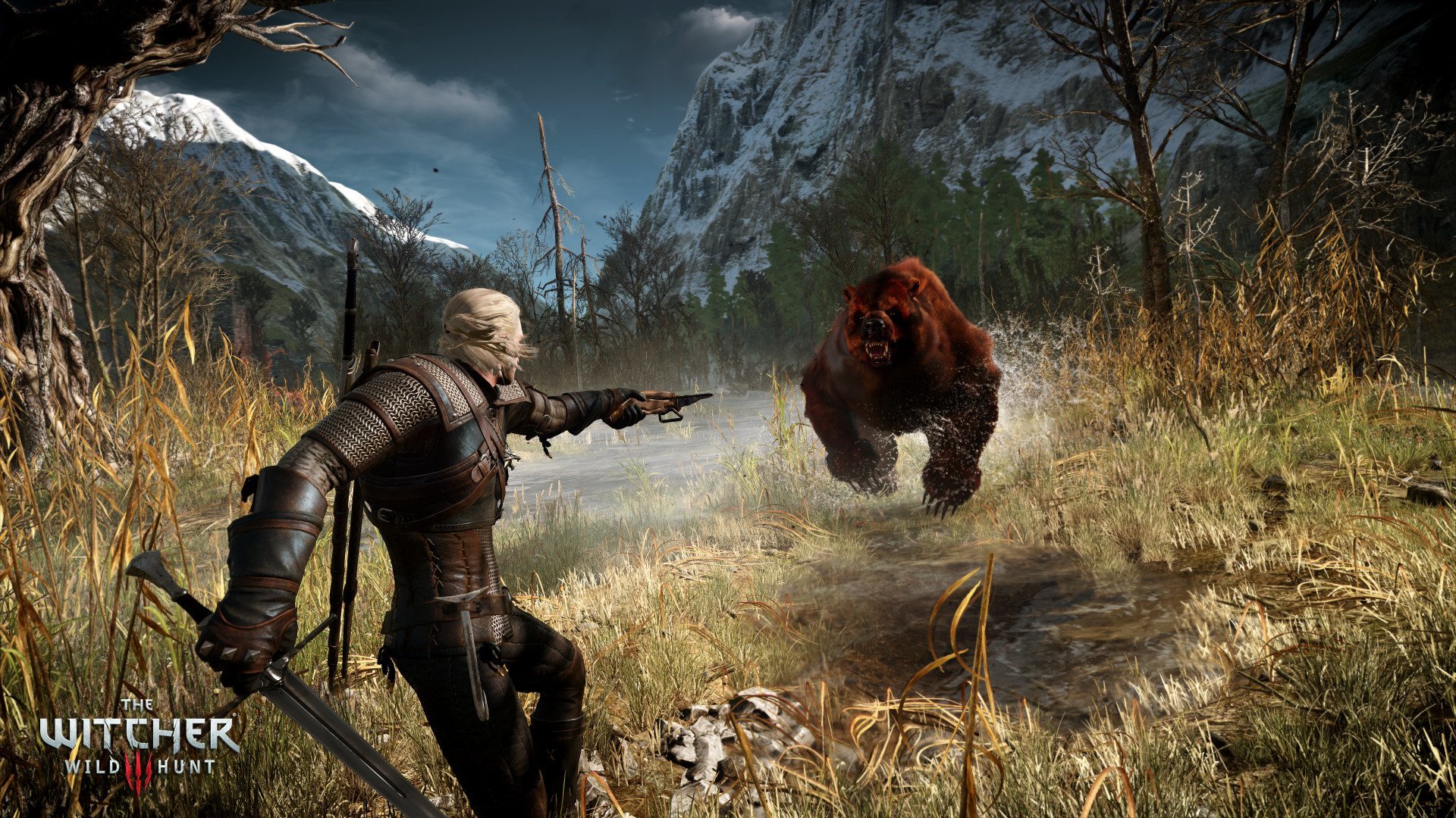 Free The Witcher 3: Wild Hunt high quality background ID:18053 for full hd computer