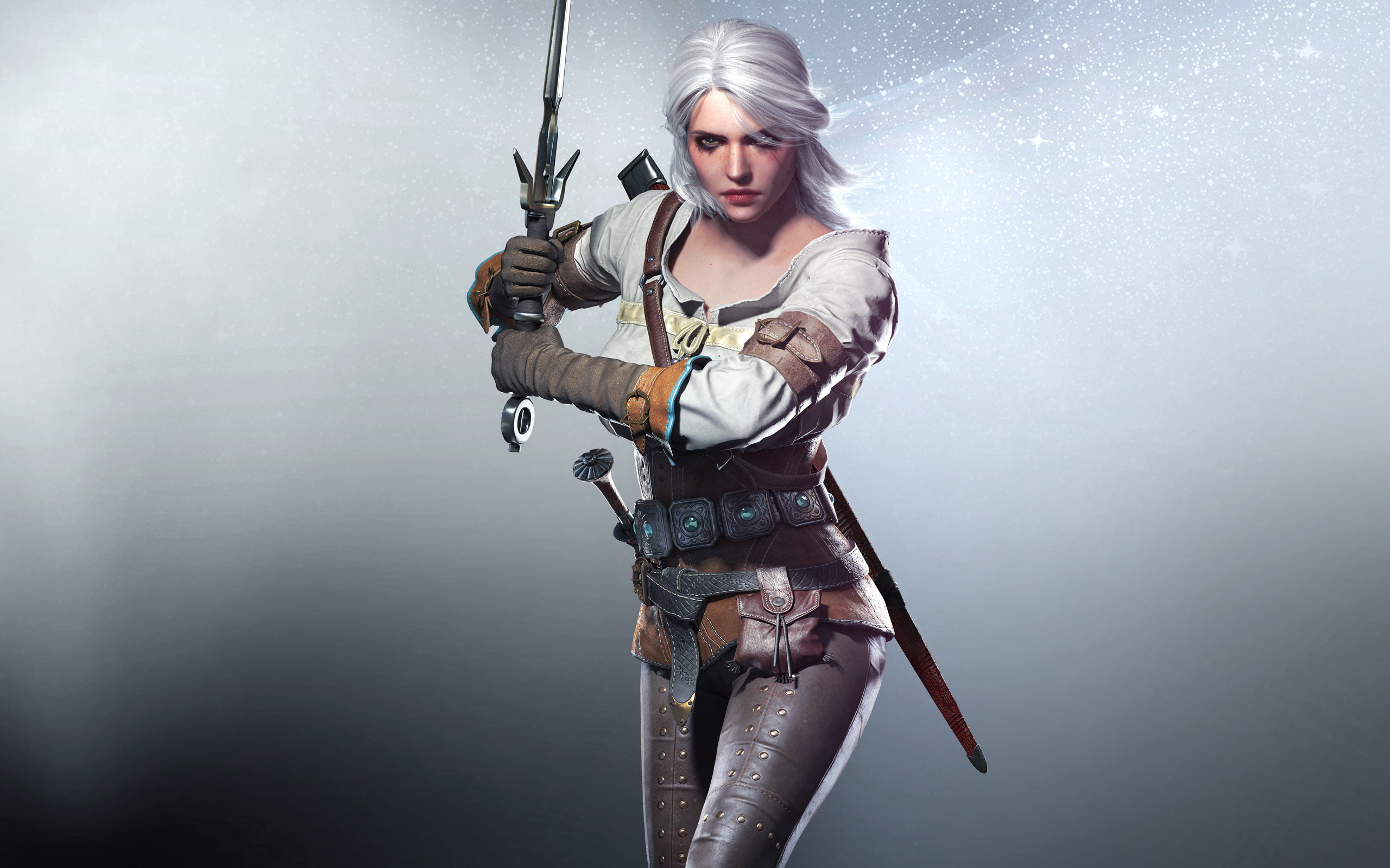 Free download The Witcher 3: Wild Hunt background ID:17883 hd 2560x1600 for desktop