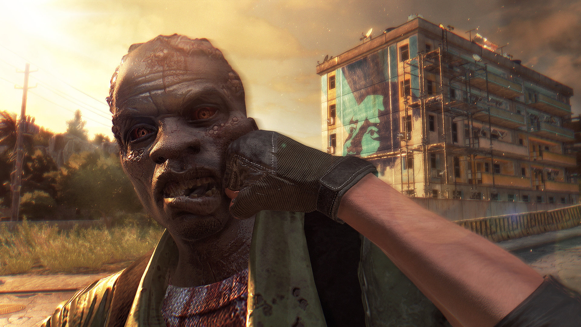 Awesome Dying Light free wallpaper ID:54499 for hd 1080p PC